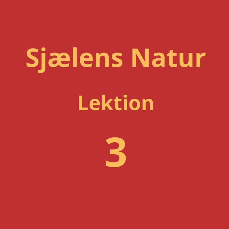 cover art for Lektion 3