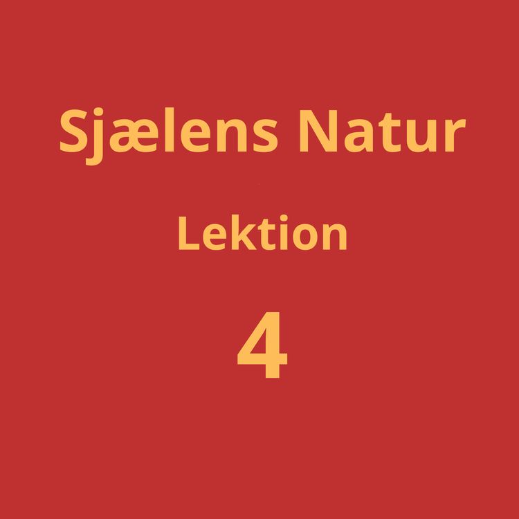 cover art for Lektion 4