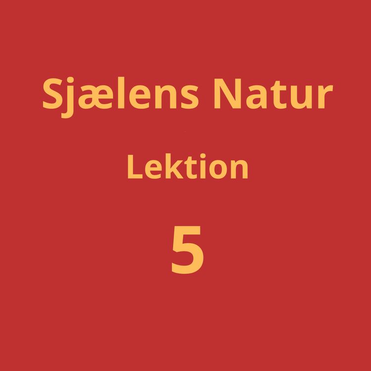 cover art for Lektion 5