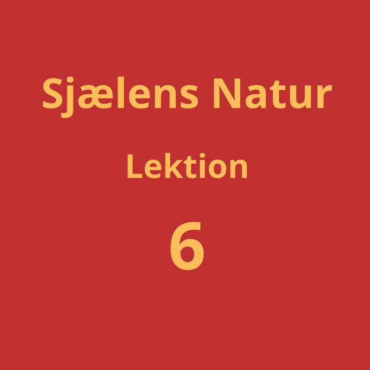 cover art for Lektion 6