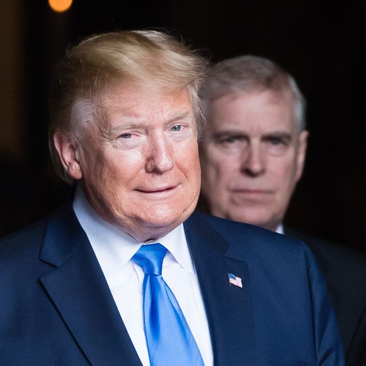 cover art for Do Epstein Files threaten US relationship with Royals?