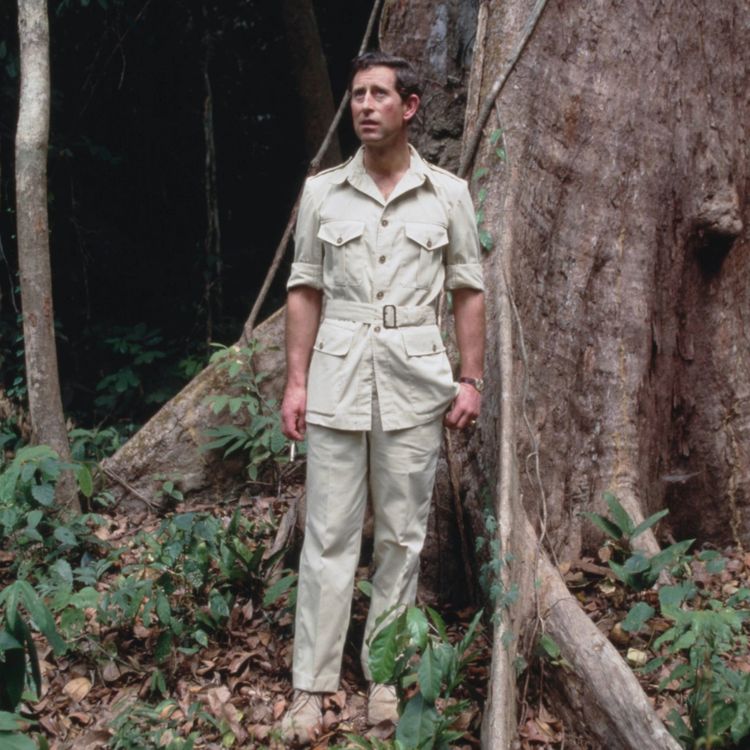 cover art for Bonus episode: Why Charles became the climate king