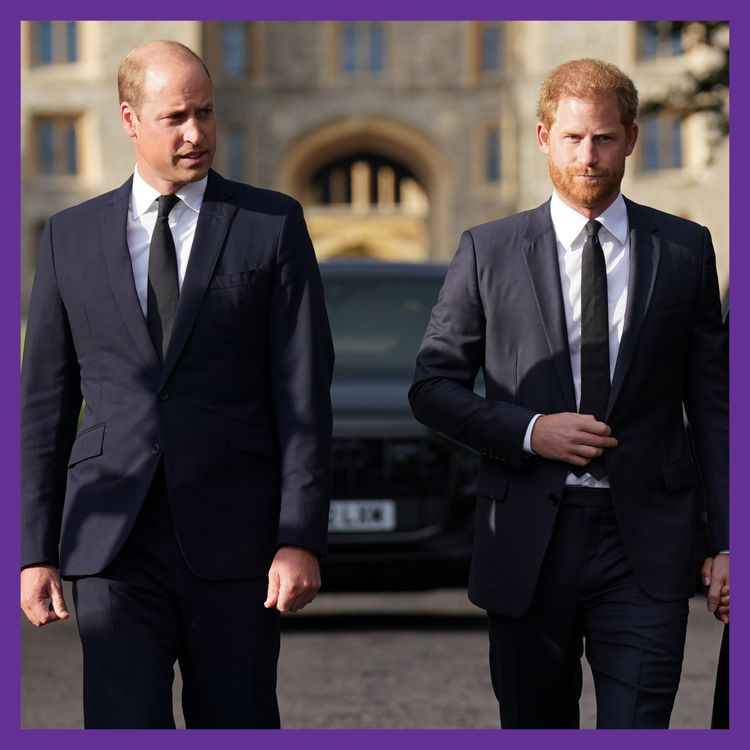 cover art for Can Charles reunite with Harry and keep William on side?