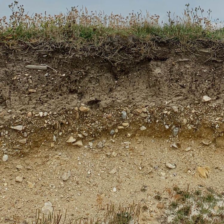 cover art for Der BODEN...