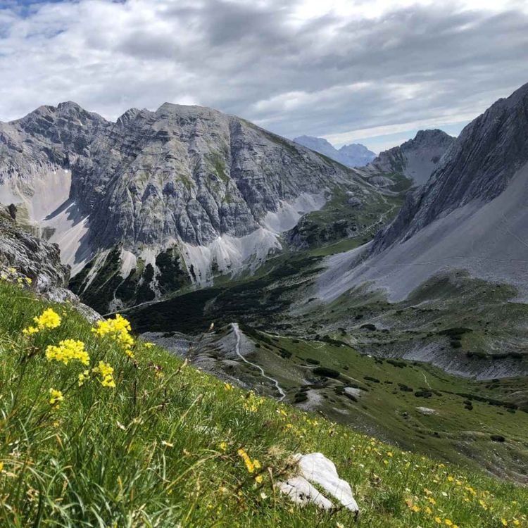 cover art for Nature Net Zero