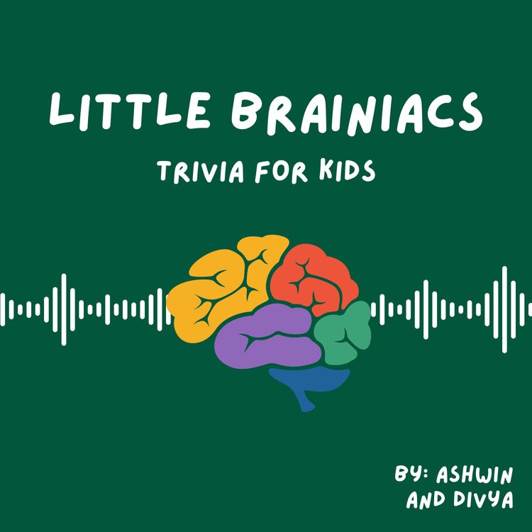 cover art for Episode 28: Harry Potter, "Y" Guys, Signature Dish