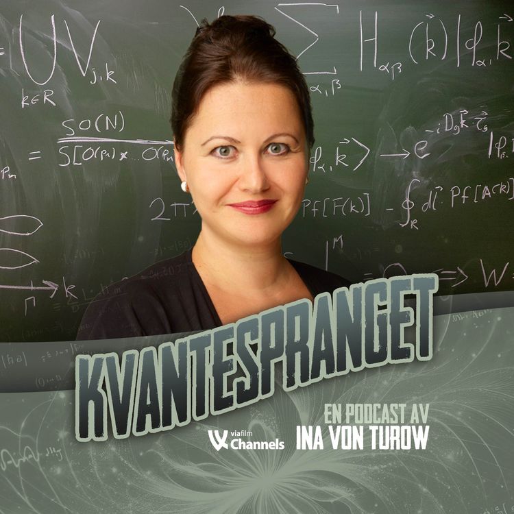 cover art for Kvanteinvestorene