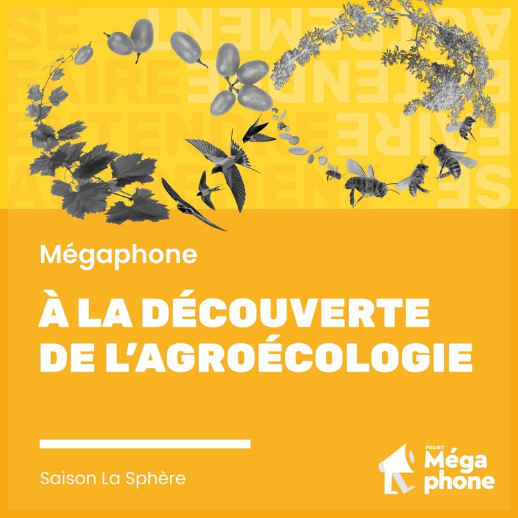 cover art for À la découverte de l’agroécologie 