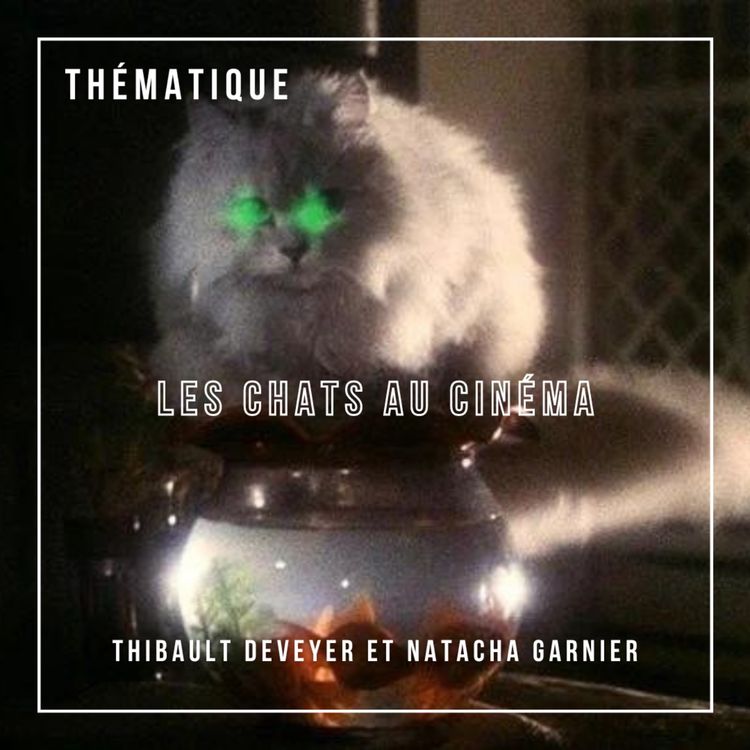 cover art for Les chats au cinéma