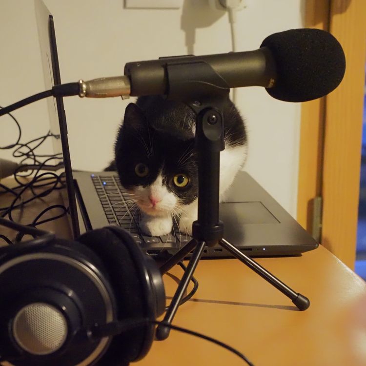 cover art for Cacahuètes Saison 2 Episode 4