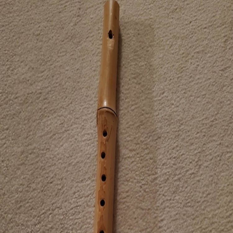 cover art for Bamboo recorder style flute