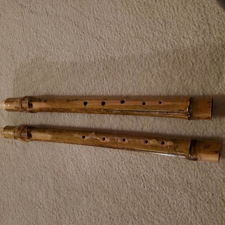 cover art for Two five-hole bamboo Native American style flutes