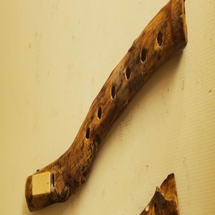 cover art for Branch flute demo