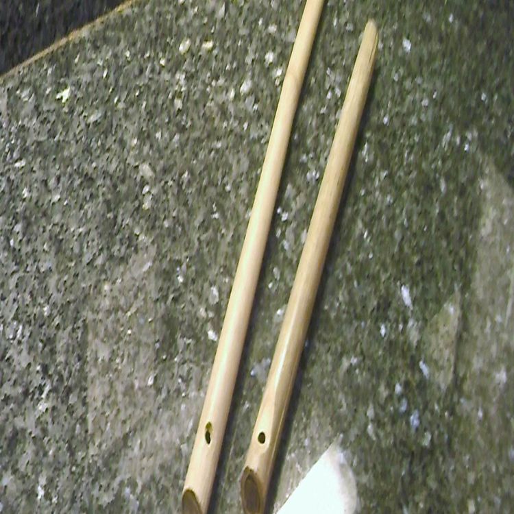 cover art for Demonstrating two overtone flutes