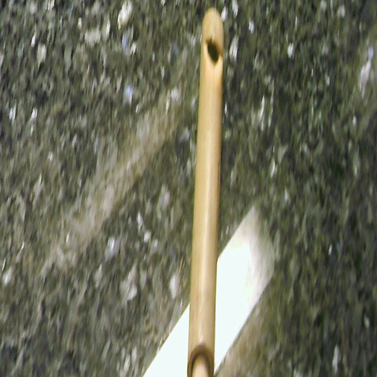 cover art for Demonstrating bamboo slide whistles