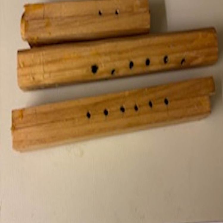cover art for Demonstrating a wood whistle and two flutes