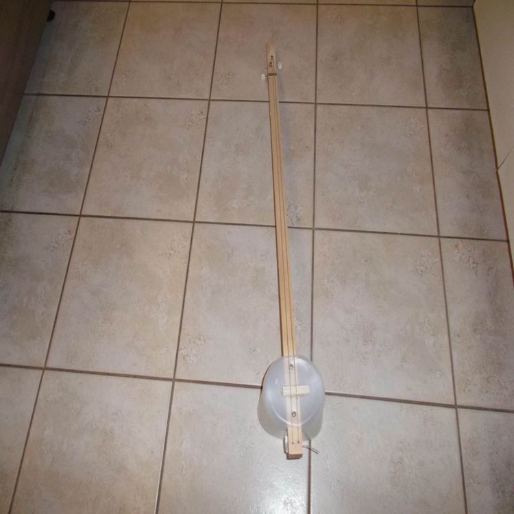 cover art for Two string banjo demo