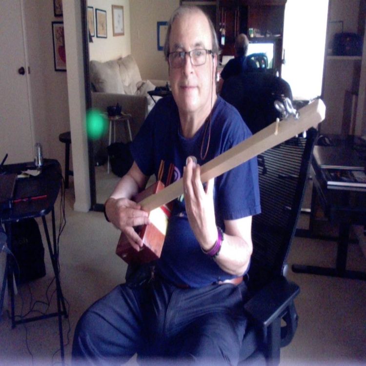 cover art for Blues riffs on two string cigar box guitar