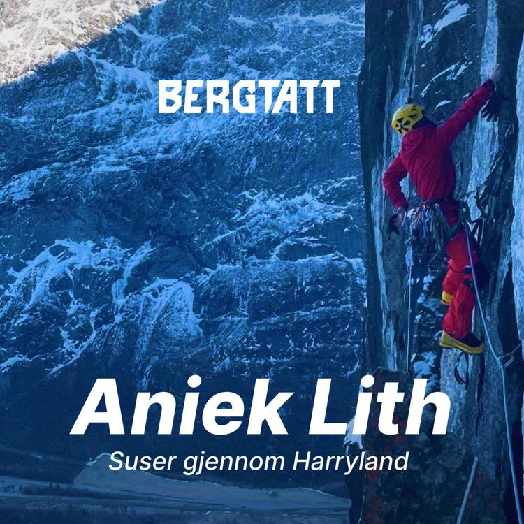 cover art for Aniek Lith | Suser gjennom Harryland