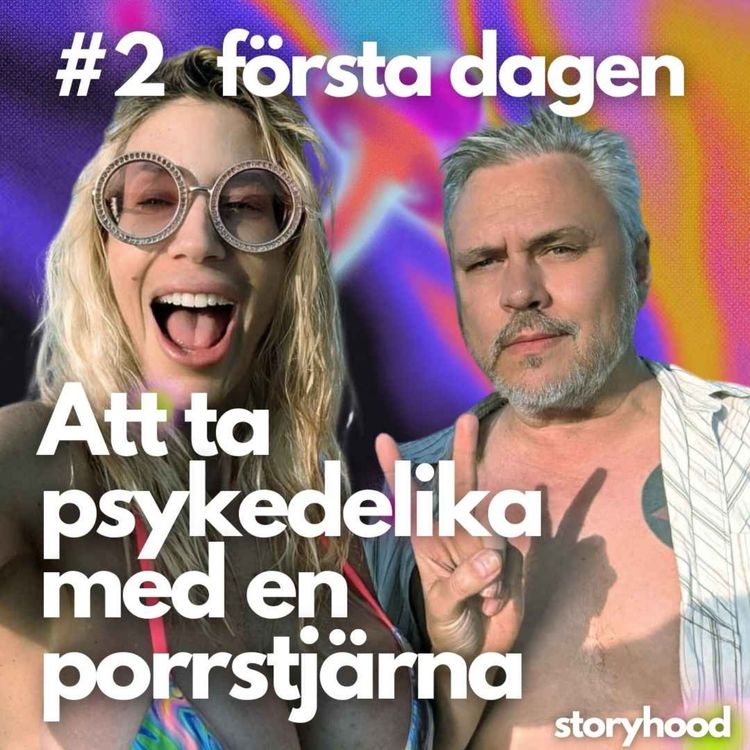 cover art for #2 första dagen 