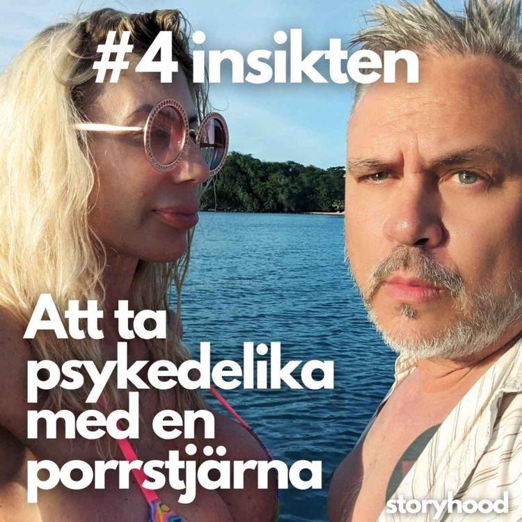 cover art for #4 - Insikten