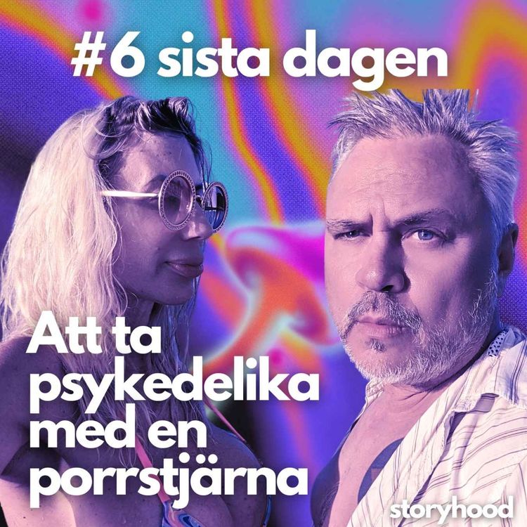 cover art for #6 sista dagen