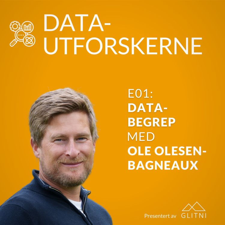 cover art for Ord og begrep innen data med Ole Olesen-Bagneux