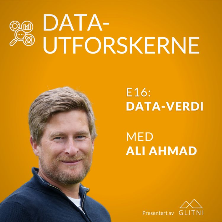 cover art for Data-verdi med Ali Ahmad
