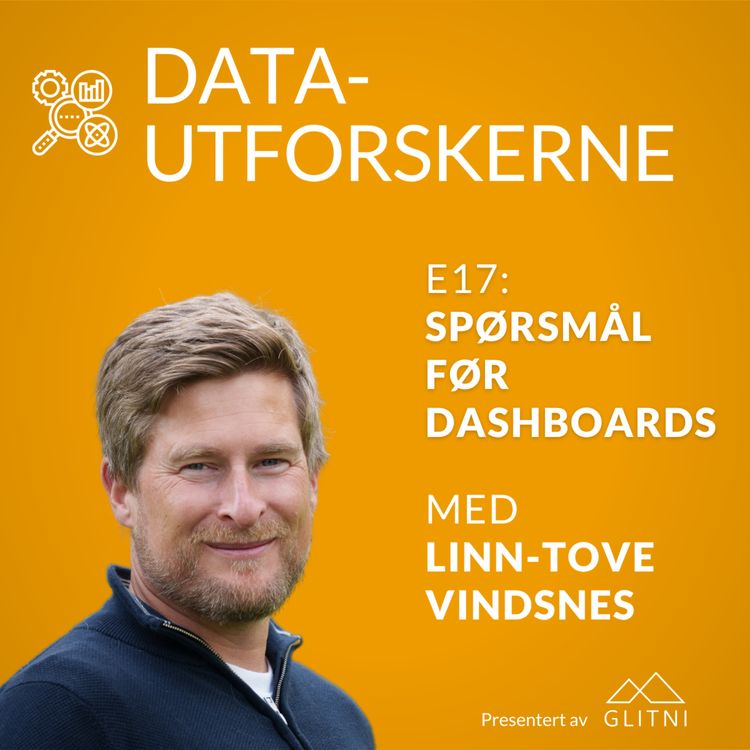 cover art for Spørsmål før dashboards med Linn Tove Vindsnes