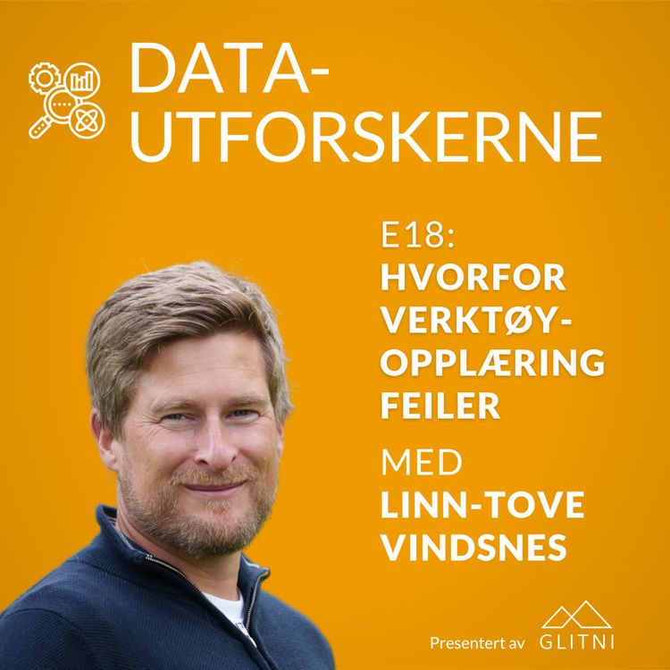 cover art for Hvorfor verktøyopplæring feiler, og hva Learning Loops erstatter med Linn-Tove Vindsnes