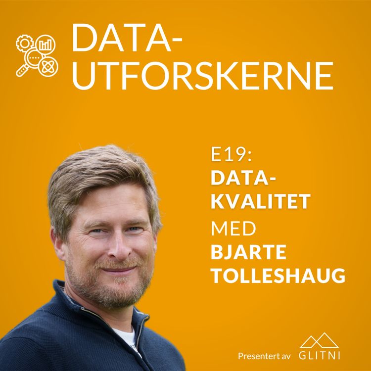 cover art for Datakvalitet med Bjarte Tolleshaug