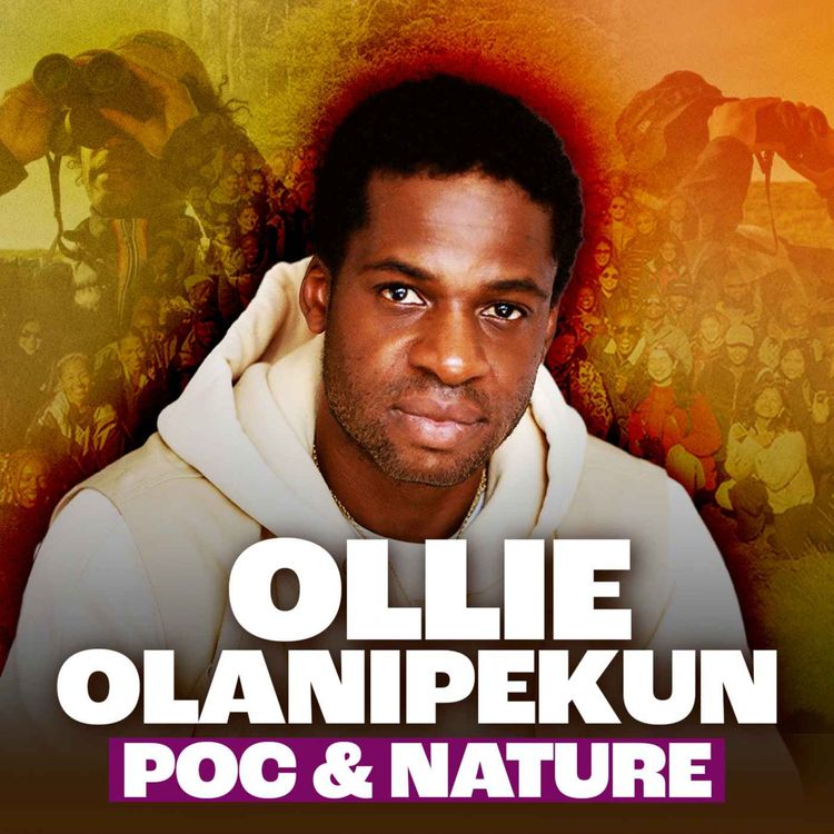 cover art for Bird Watching, Flock Together, Accessible Nature for POC with Ollie Olanipekun 