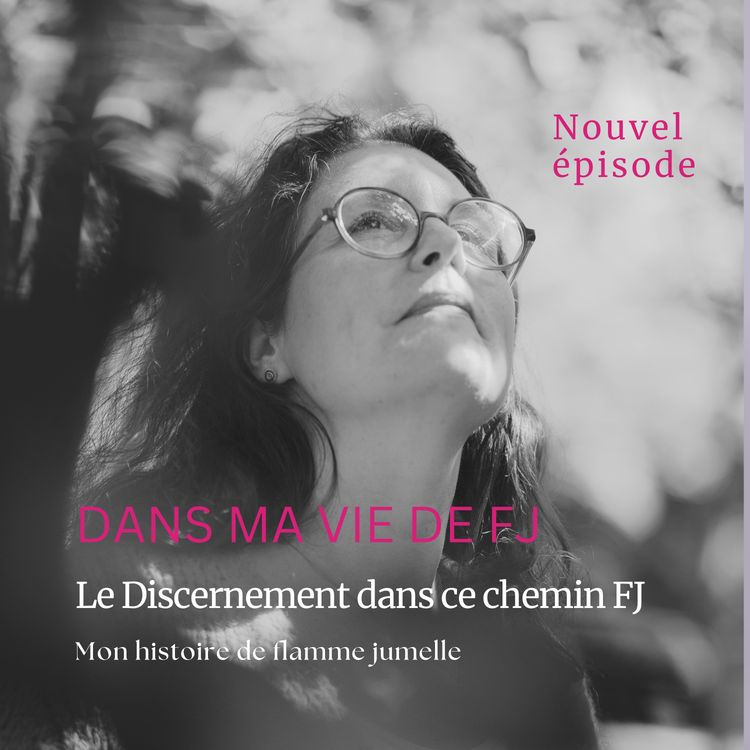 cover art for Le Discernement dans ce chemin FJ 