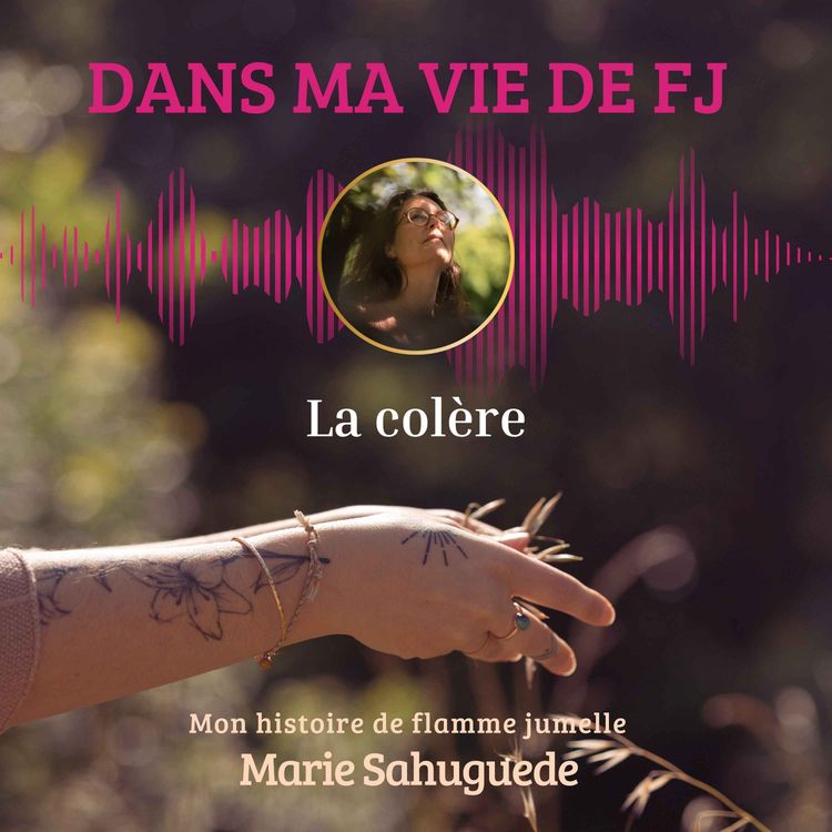 cover art for La colère