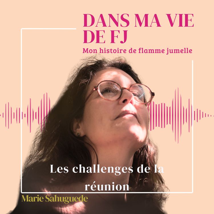 cover art for Les challenges de la réunion