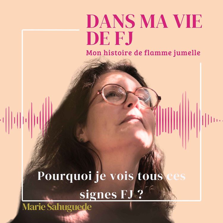 cover art for Pourquoi je vois tous ces signes FJ ?