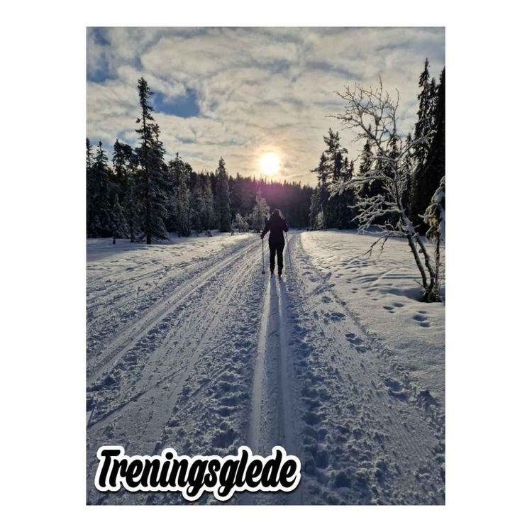 cover art for Markatrimmen Spesial