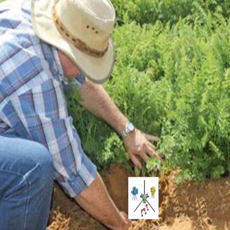 cover art for Kobus Pienaar, future of regenerative agriculture in South Africa