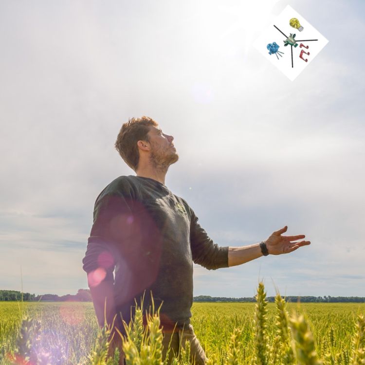 cover art for Future of grain is sunny-bright with Rogier Scherpbier