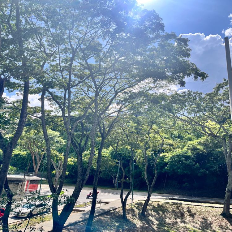 cover art for Ep.28|Sobre el conocimiento|