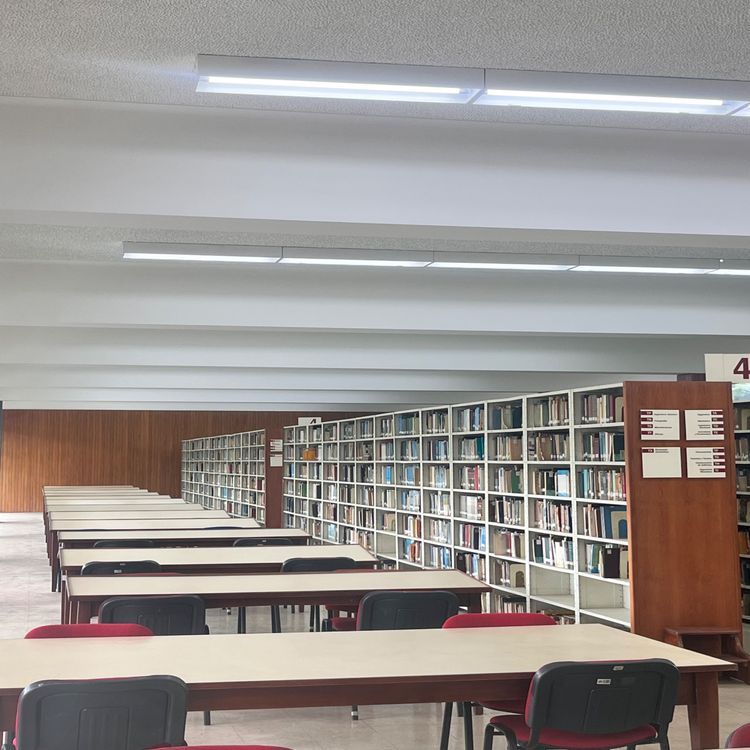 cover art for Ep.29|El proyecto crítico de la razón|