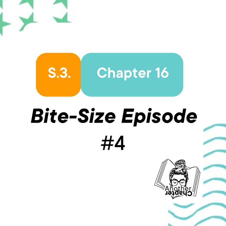 cover art for S.3. Chapter 16. Bite-Size Episode #4