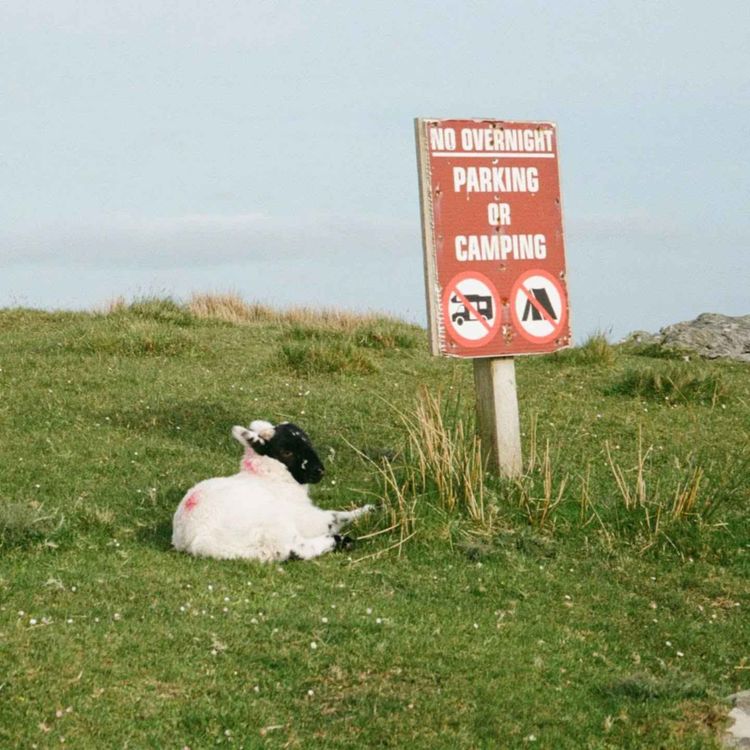 cover art for Why Not! To Wear with Alie Lavoie