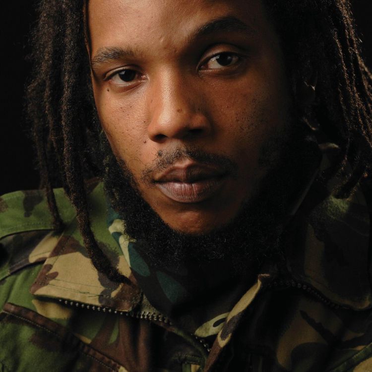 cover art for Lion Of Jah Army - A Stephen Marley Retrospective