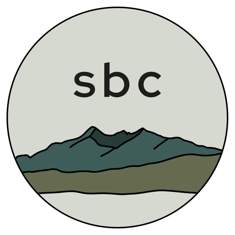 cover art for 1 Samuel 16:1-13 - Kingdom Leaders