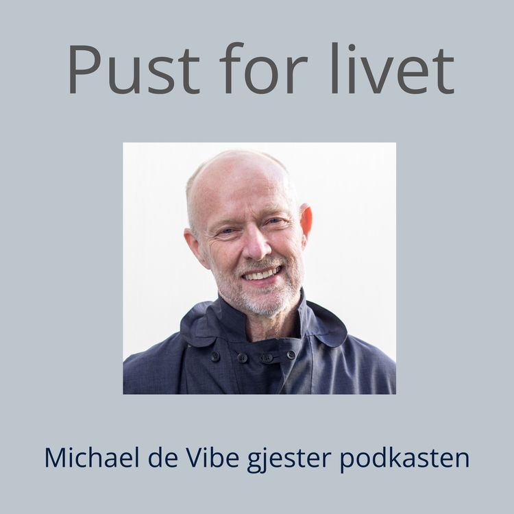 cover art for Michael de Vibe om oppmerksomt nærvær