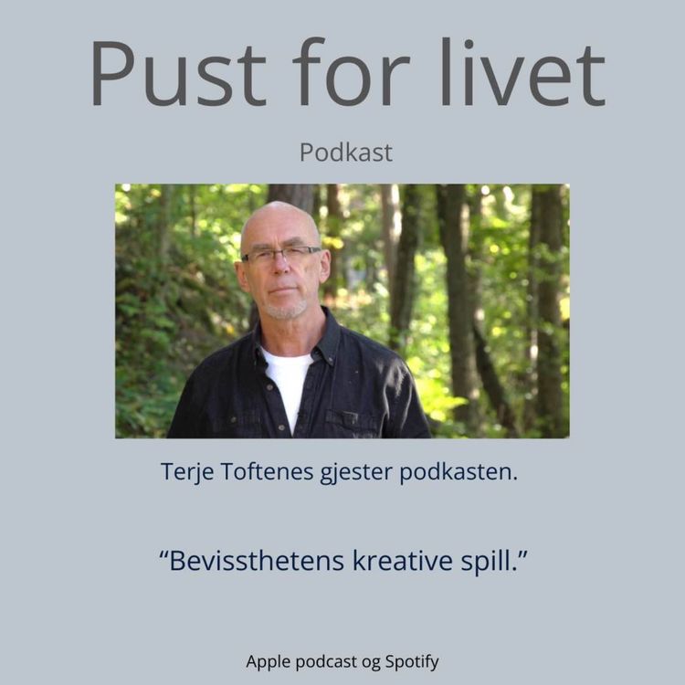 cover art for Terje Toftenes. "Bevissthetens kreative spill."