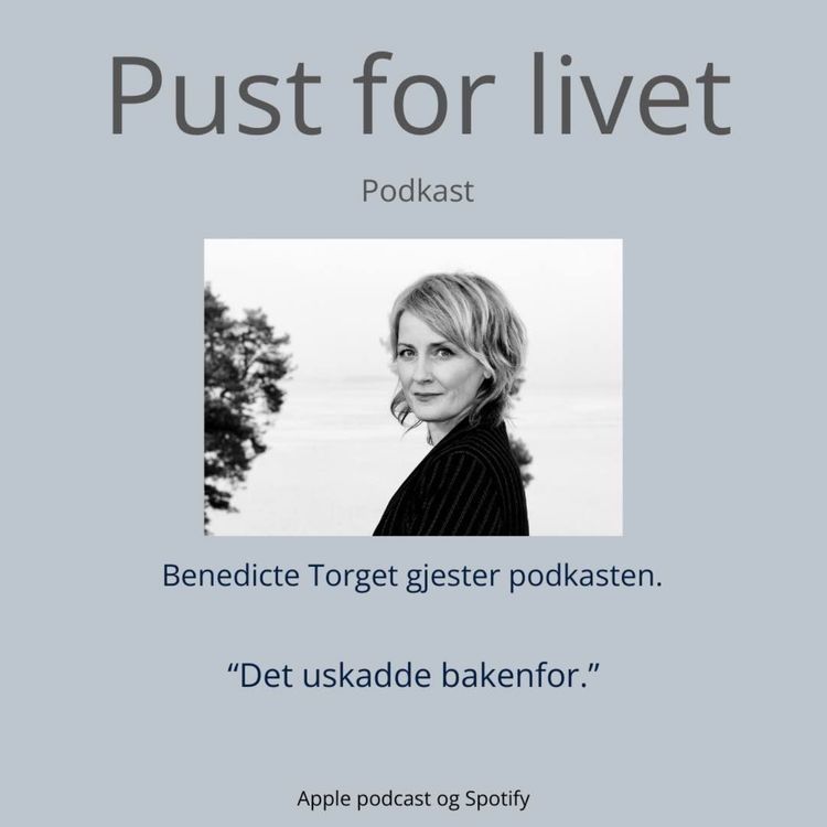 cover art for Benedicte Torget. "Det uskadde bakenfor."