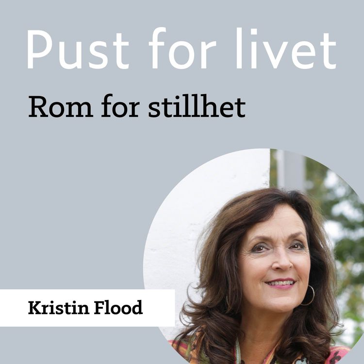 cover art for Kristin Flood. Rom for stillhet.