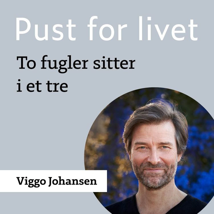 cover art for Viggo Johansen. "To fugler sitter i et tre."